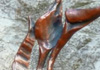 Kovaný strom na šperky (kovaná ocel, patina staré mědi)